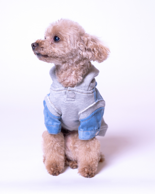 Denim Docking Hoodie【For Dog】