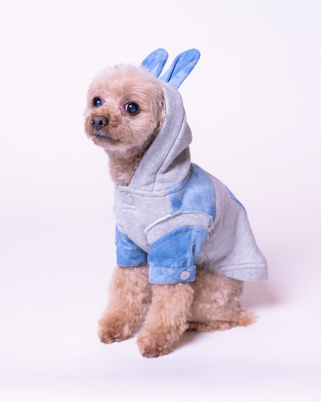 Denim Docking Hoodie【For Dog】