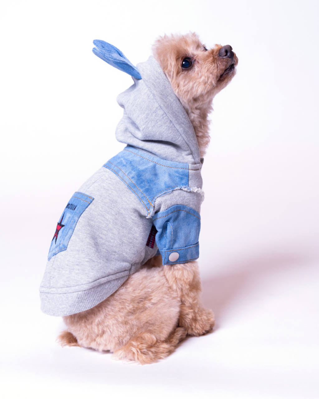 Denim Docking Hoodie Set【Dog & People】