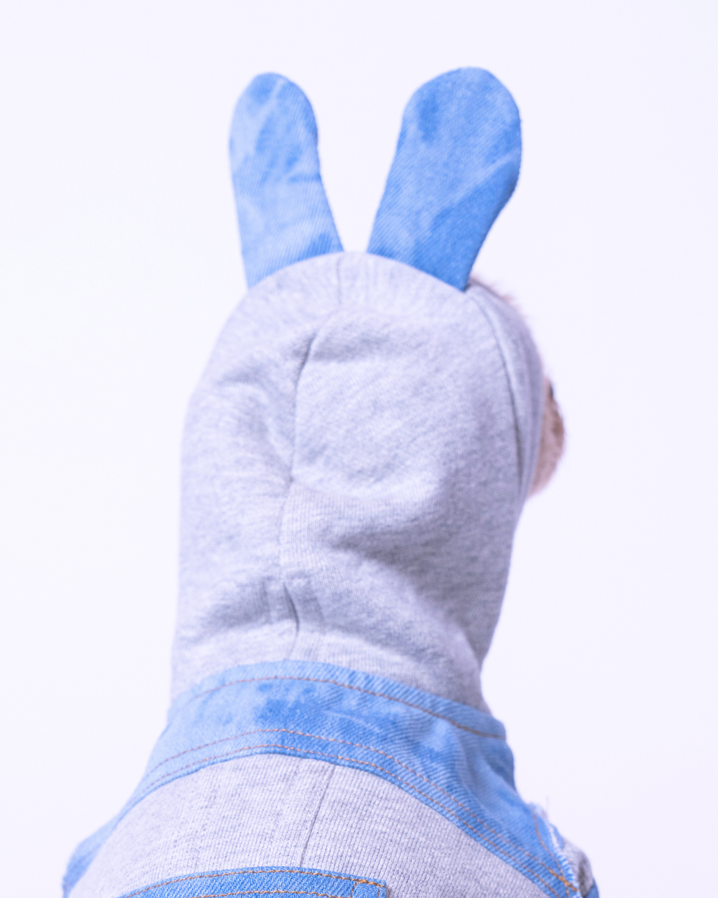 Denim Docking Hoodie Set【Dog & People】