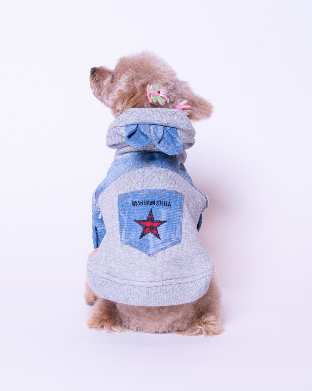 Denim Docking Hoodie Set【Dog & People】