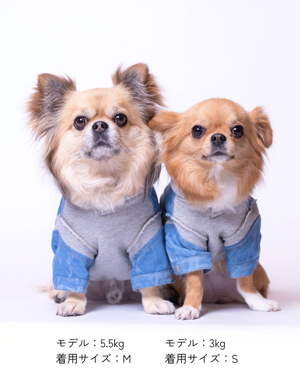 Denim Docking Hoodie Set【Dog & People】