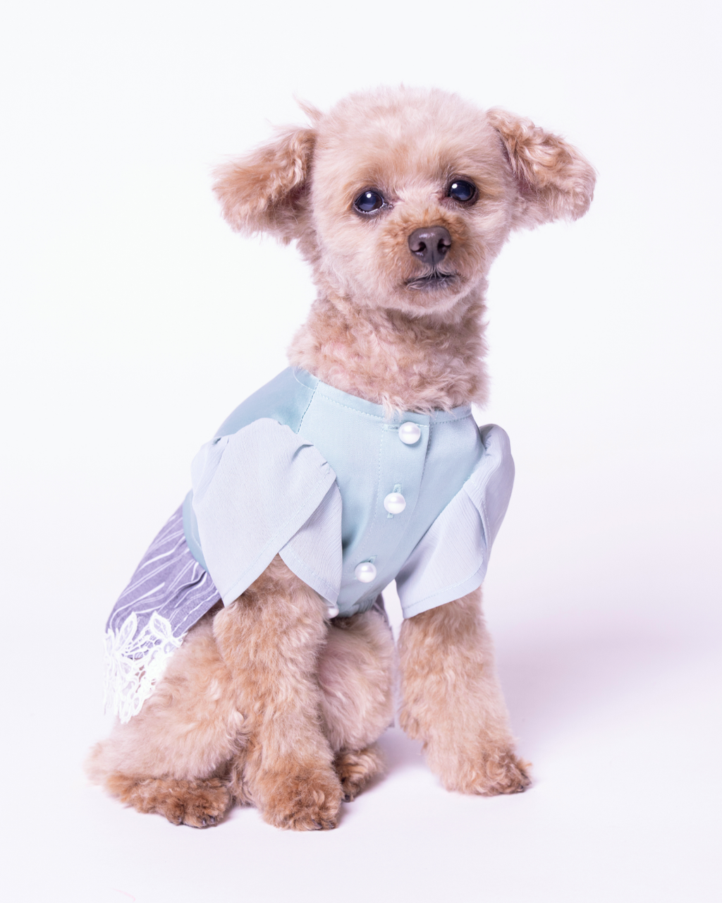 Satin Docking Pullover Set【Dog & People】/ Mint & Gray