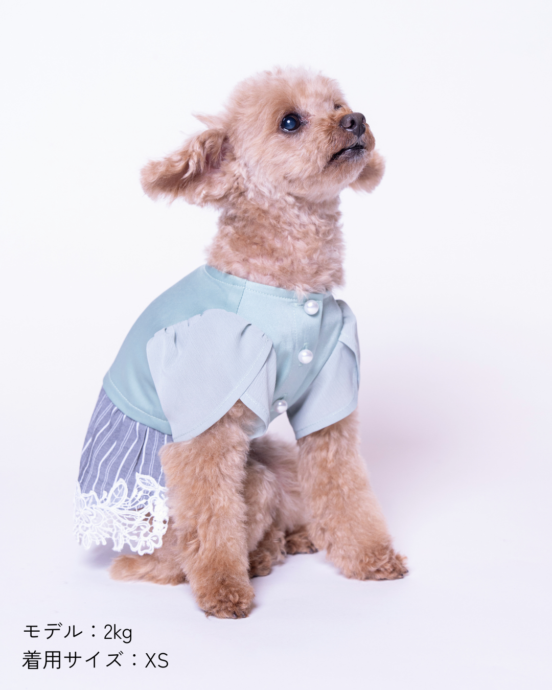 Satin Docking Dress【For Dog】/ Mint & Gray