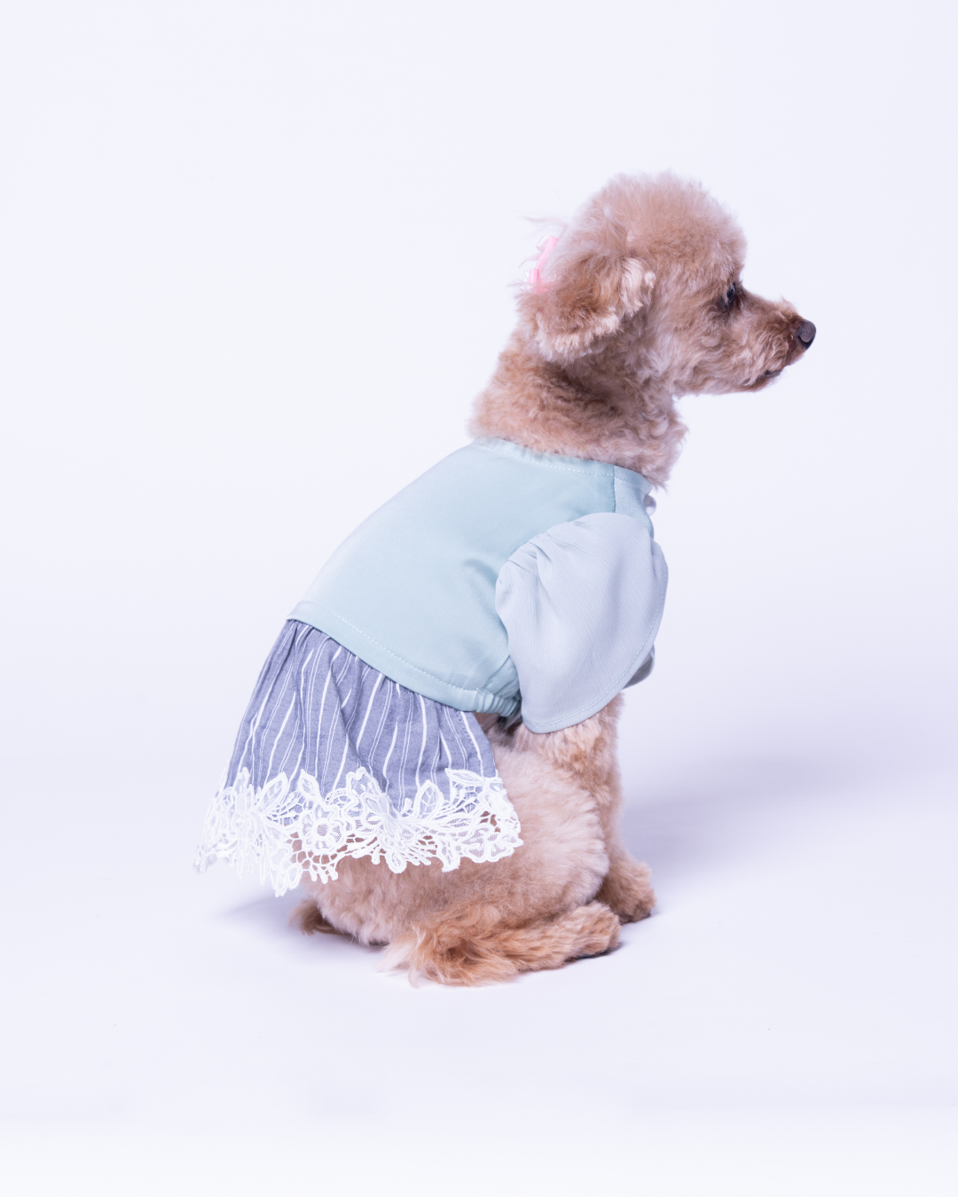 Satin Docking Dress【For Dog】/ Mint & Gray