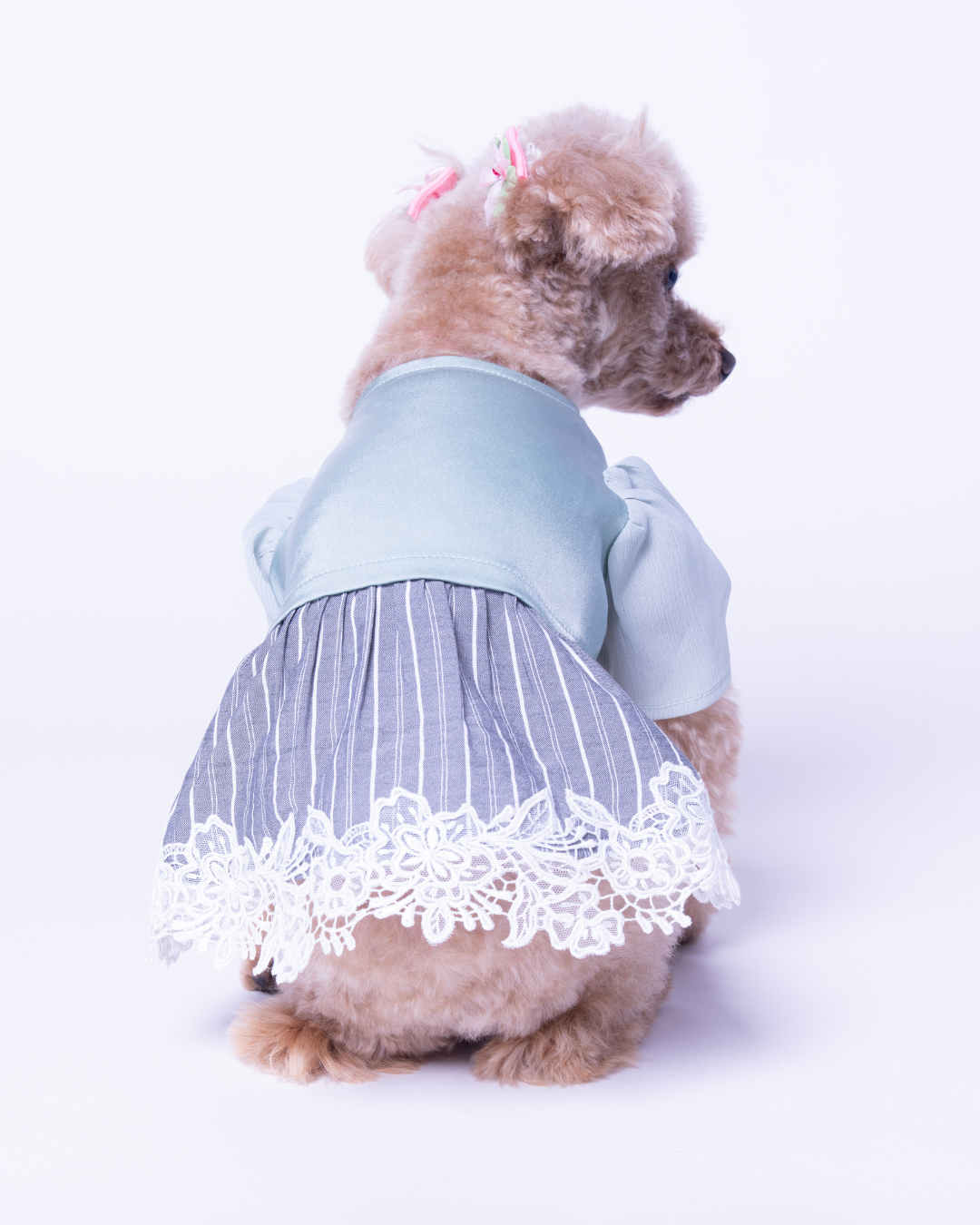 Satin Docking Dress【For Dog】/ Mint & Gray