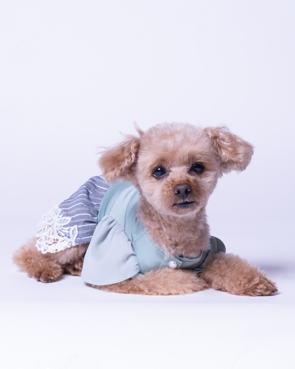 Satin Docking Dress【For Dog】/ Mint & Gray