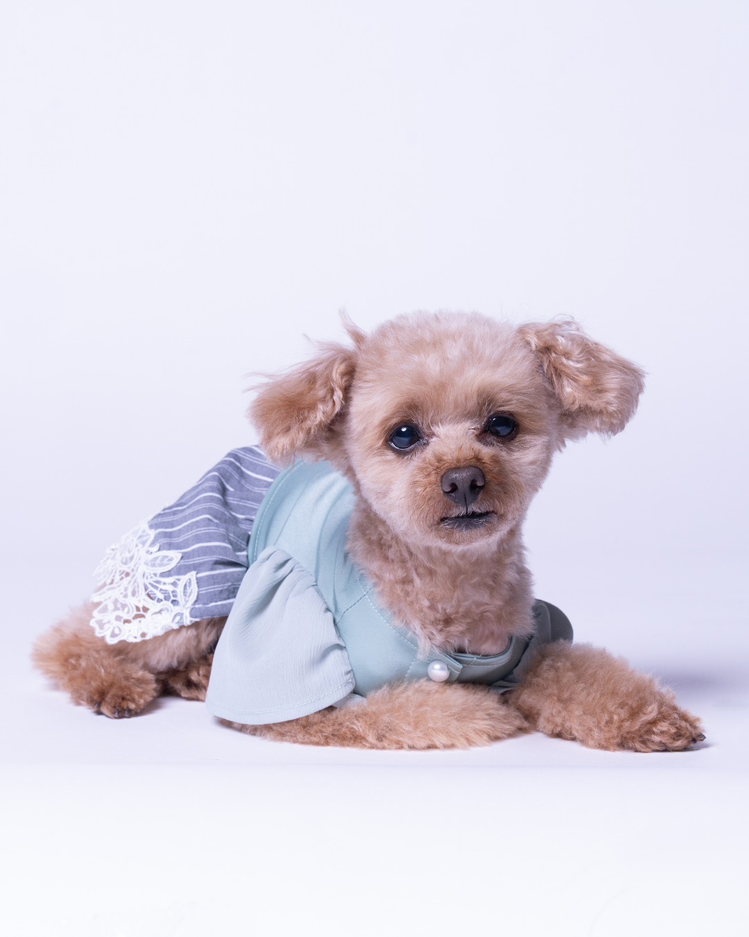 Satin Docking Dress【For Dog】/ Mint & Gray