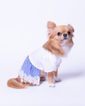 Satin Docking Dress【For Dog】/ White & Blue