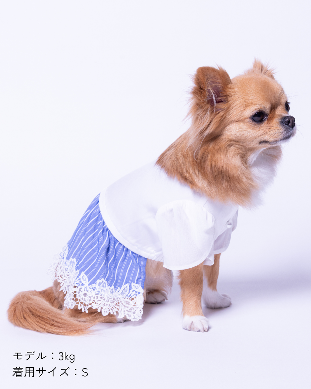 Satin Docking Dress【For Dog】/ Mint & Gray