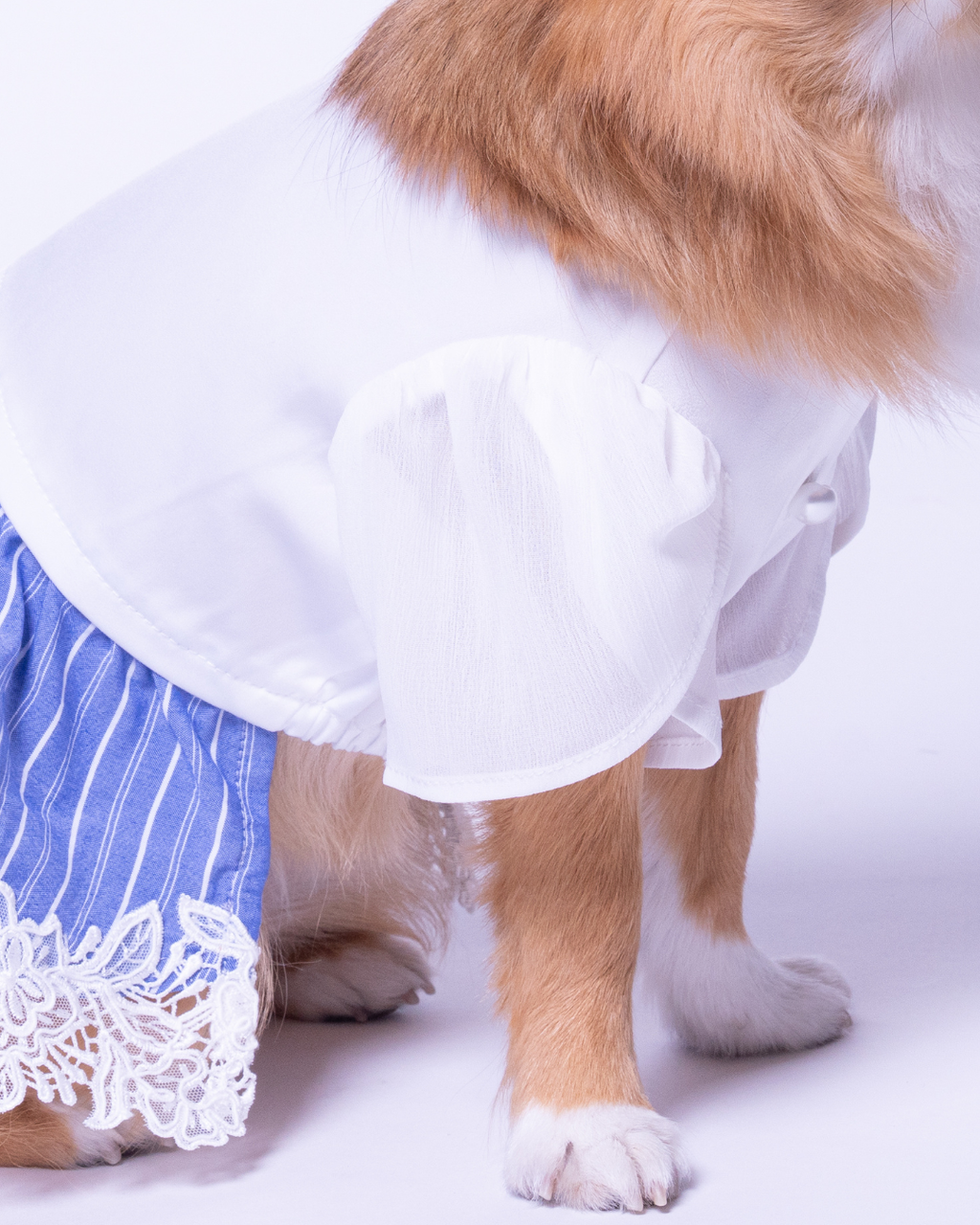 Satin Docking Pullover Set【Dog & People】/ White & Blue
