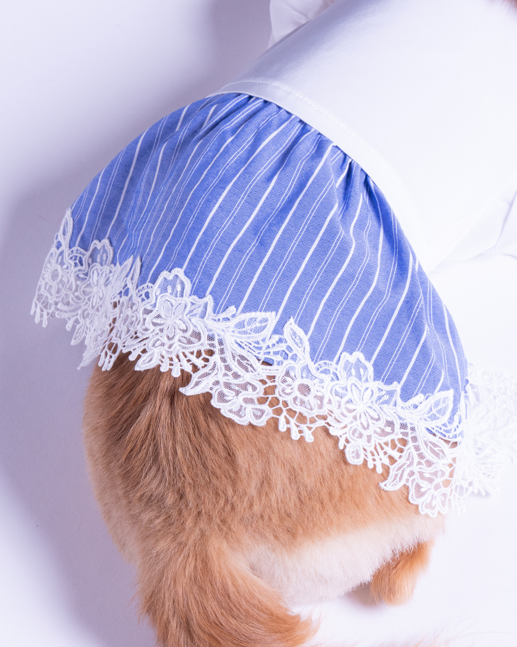 Satin Docking Pullover Set【Dog & People】/ White & Blue