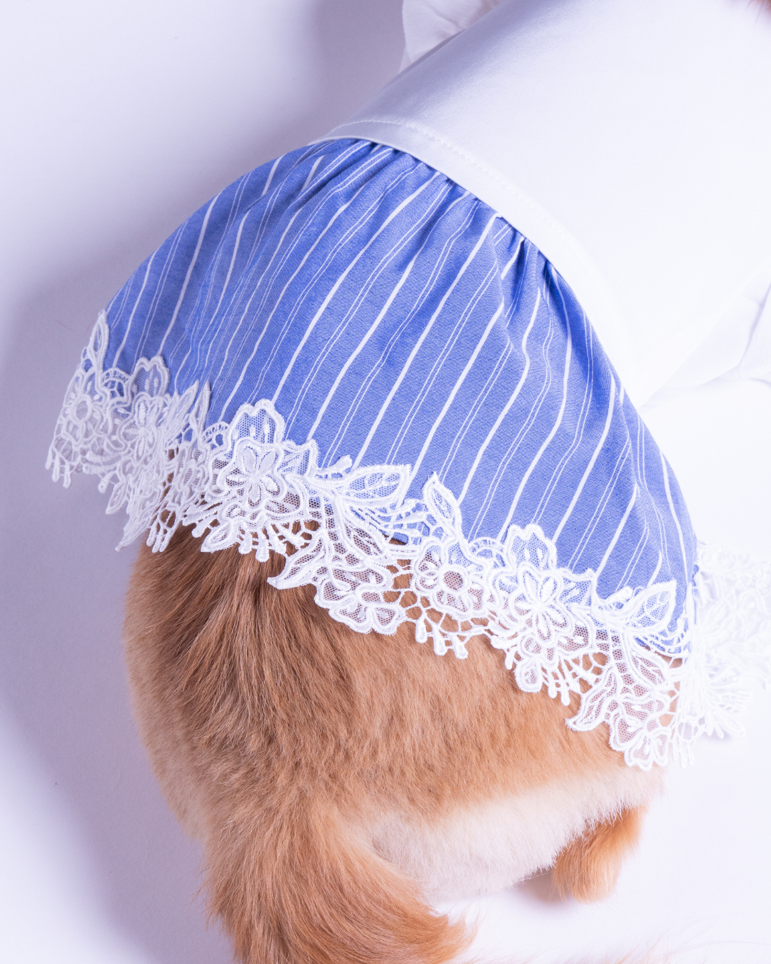 Satin Docking Pullover Set【Dog & People】/ White & Blue