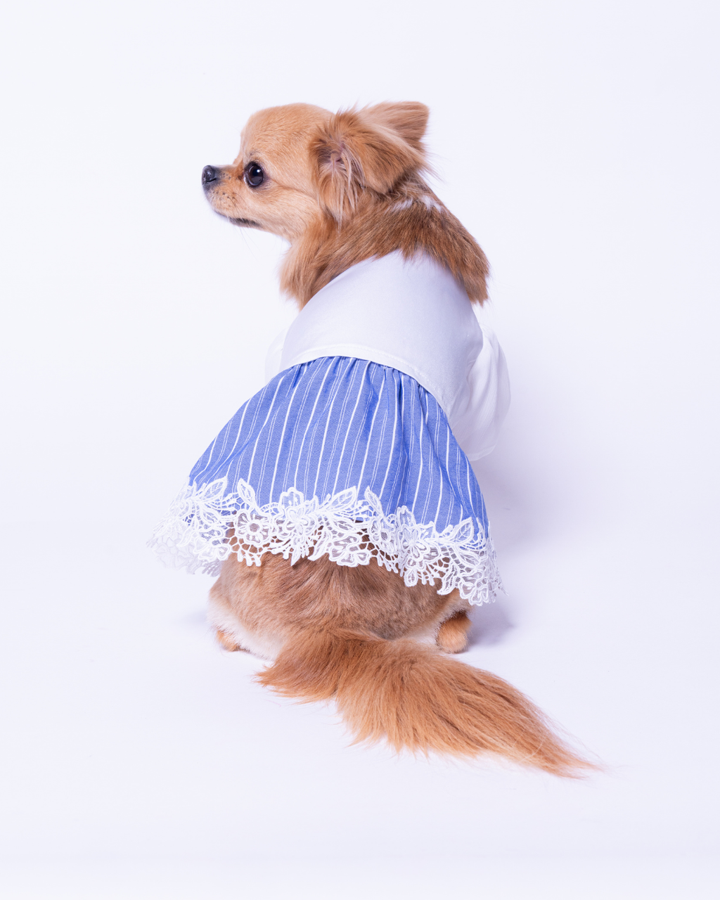 Satin Docking Dress【For Dog】/ Mint & Gray